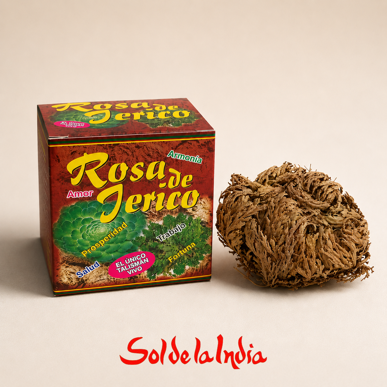 Rosa de Jericó